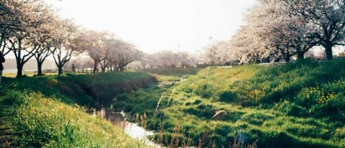 leopold-maitre-wIyuHdNILWc-unsplash