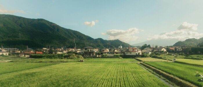 maxx-gong-PTm1X8NQrQk-unsplash