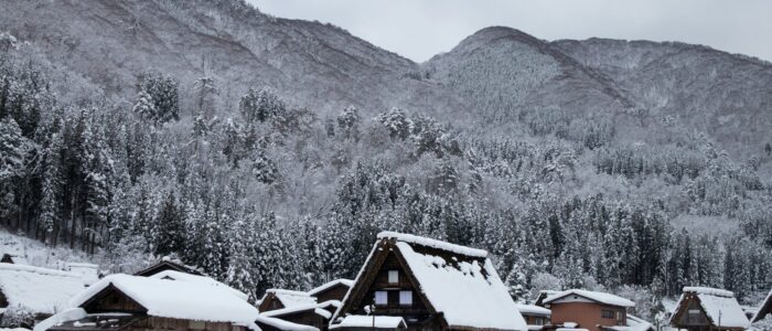 rui-hao-lim-wdVyrfX_lEI-unsplash